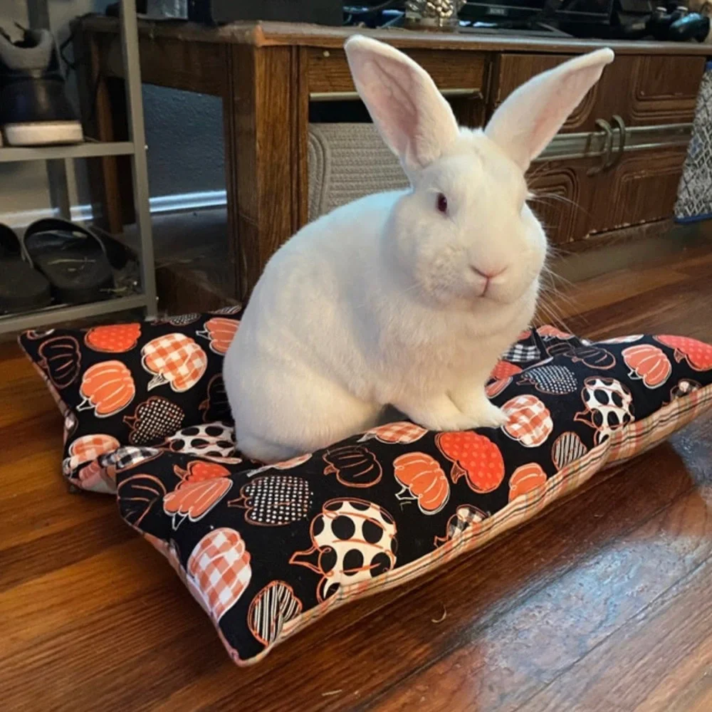 Handmade Rabbit Beds